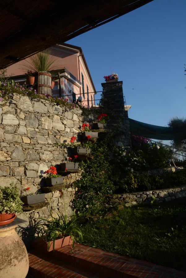 Bed and Breakfast La Gatta Sul Sentiero San Salvatore  Exterior foto